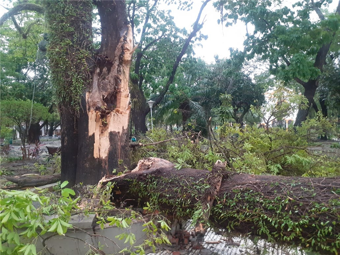 Los vientos huracanados causaron desastres en Trinidad. Foto. Internet 