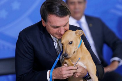 Bolsonaro sostiene a su perro 'Néstor' durante una ceremonia de sanción de la ley de defensa de los animales en el Palacio del Planalto en Brasilia, el 29 de septiembre de 2020 (REUTERS/Adriano Machado)