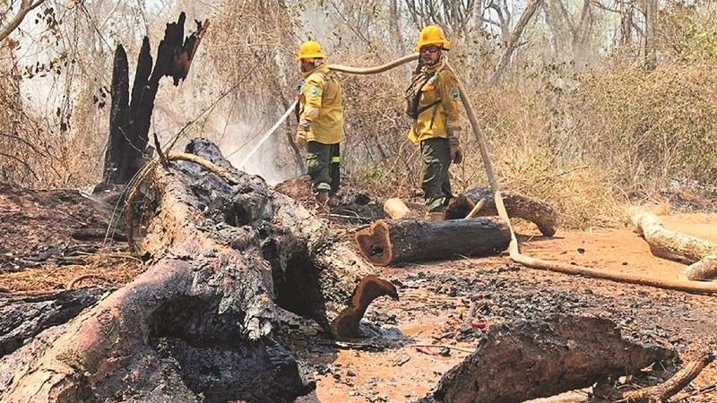 El fuego afecta a poblados y áreas protegidas de 5 regiones