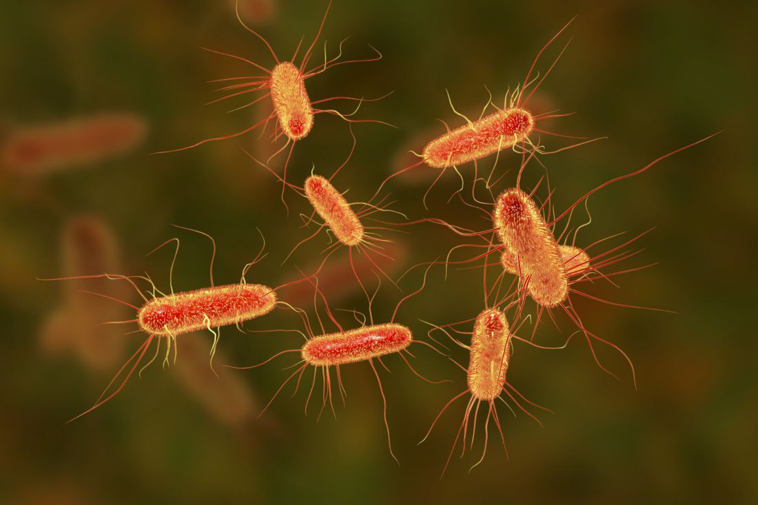 Una Ilustración computarizada de la bacteria 'Escherichia coli', utilizada por los científicos para probar el nuevo antibiótico