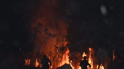 Fuego avanza en el Beni, amenaza a dos comunidades indígenas – eju.tv