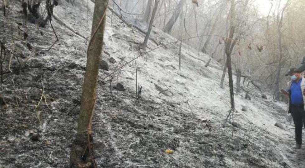 Aguaragüe en Tarija ya perdió 1.500 hectáreas por incendios