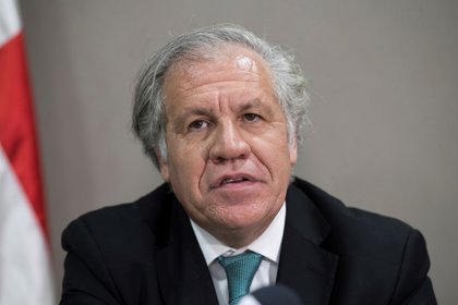 El secretario general de la Organización de Estados Americanos (OEA), Luis Almagro (EFE)