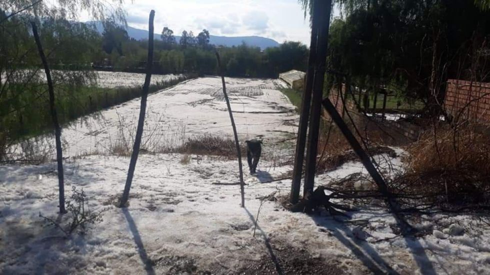 Productores reportan 7 zonas afectadas en Tarija por primeras lluvias