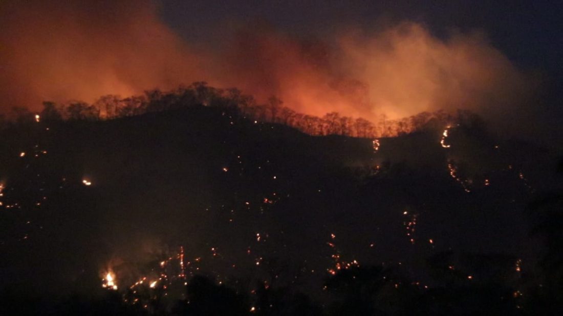 Amdecruz pide declaratoria de emergencia nacional por incendios forestales | Radio Fides