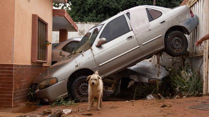 Dos vehículos arrastrados y dañados por las fuertes lluvias (EFE/ Henry Chirinos) 