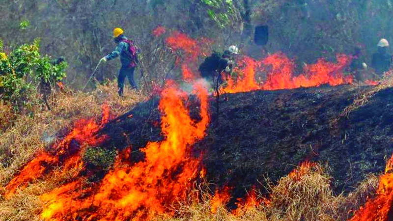 Defensa instruye investigar el manejo de recursos usados para atender los incendios
