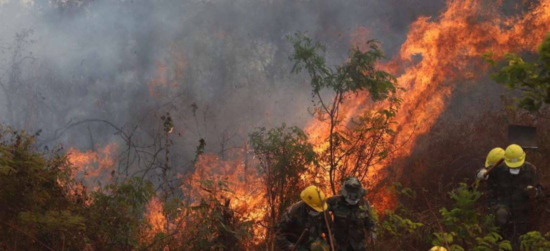 Reportan cinco incendios forestales en Santa Cruz | EL DEBER