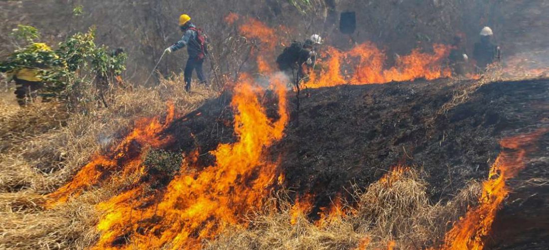 En lo que va de año se quemaron más de 2 millones de hectáreas. Foto referencial