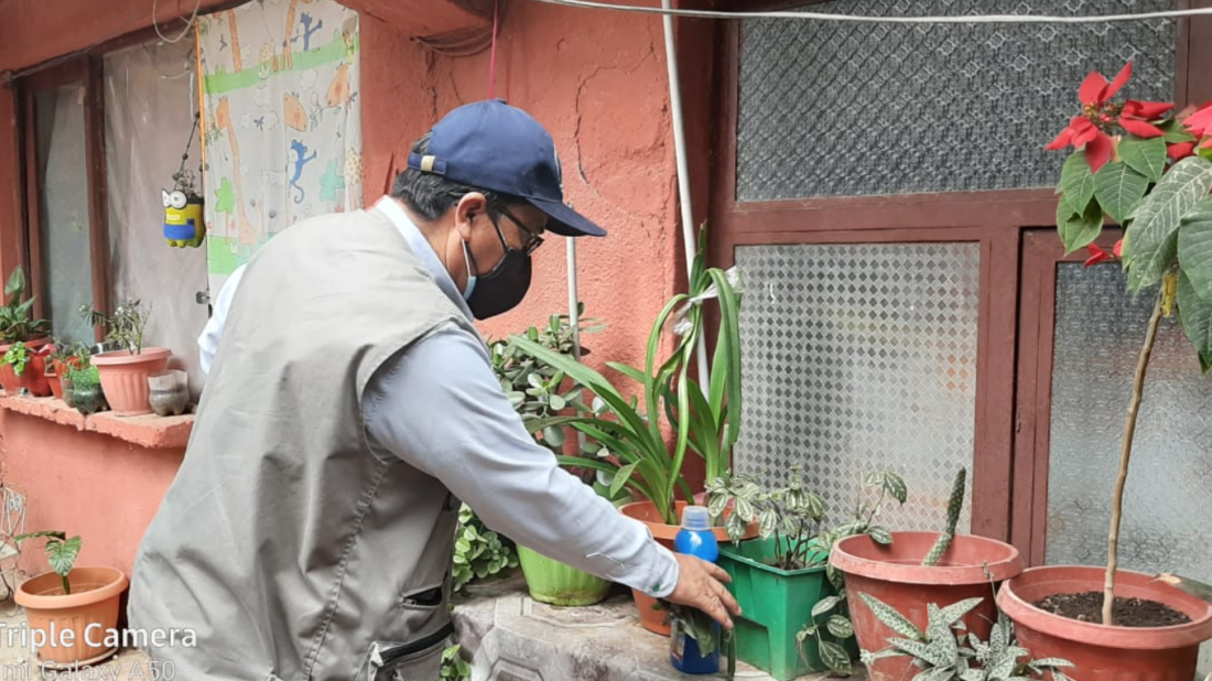 Dengue: Arranca el plan "Rompe huevos" para combatir la propagación del Aedes Aegypti en Cochabamba - Cochabamba - Opinión Bolivia