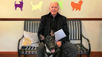 Joe Biden y su perro Major (foto de archivo)