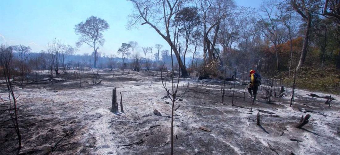 Este año se quemaron más de 2 millones de hectáreas. Foto referencial: Ipa Ibañez