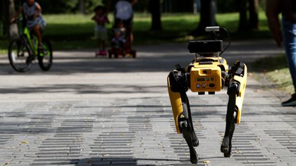 A four-legged robot dog called SPOT patrols a park as it undergoes testing to be deployed as a safe distancing ambassador, following the coronavirus disease (COVID-19) outbreak, in Singapore May 8, 2020. REUTERS/Edgar Su