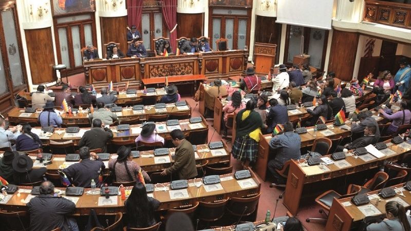 El MAS anuncia suspensión de sesión del Legislativo por el 22