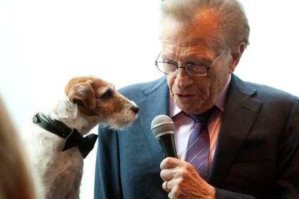 Uggie, el perro de la película "The Artist", entrevistado por Larry King (REUTERS/Andrew Kelly)