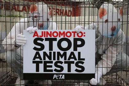"Stop animal test", un cartel significativo de PETA en una manifestación (Reuters)