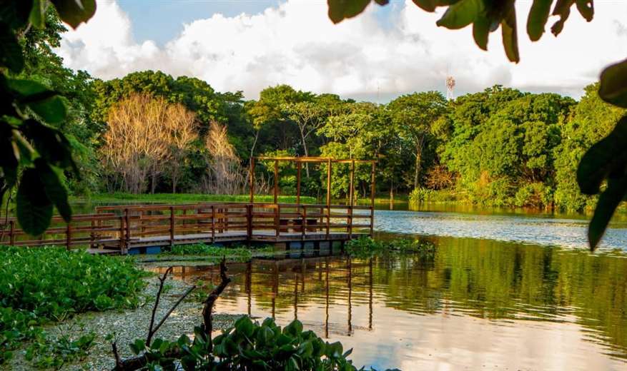 Solicitan 200 hectáreas del Jardín Botánico para entregar a 2.500 familias