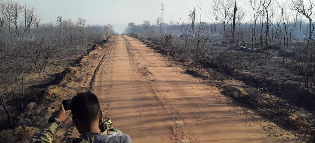 Los incendios arrasan con hectáreas de bosques y pastizales Foto: Gobernación