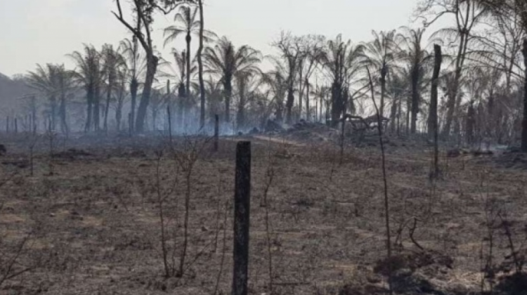 En 10 años, 58 territorios indígenas fueron golpeados por las quemas e incendios | ANF - Agencia de Noticias Fides