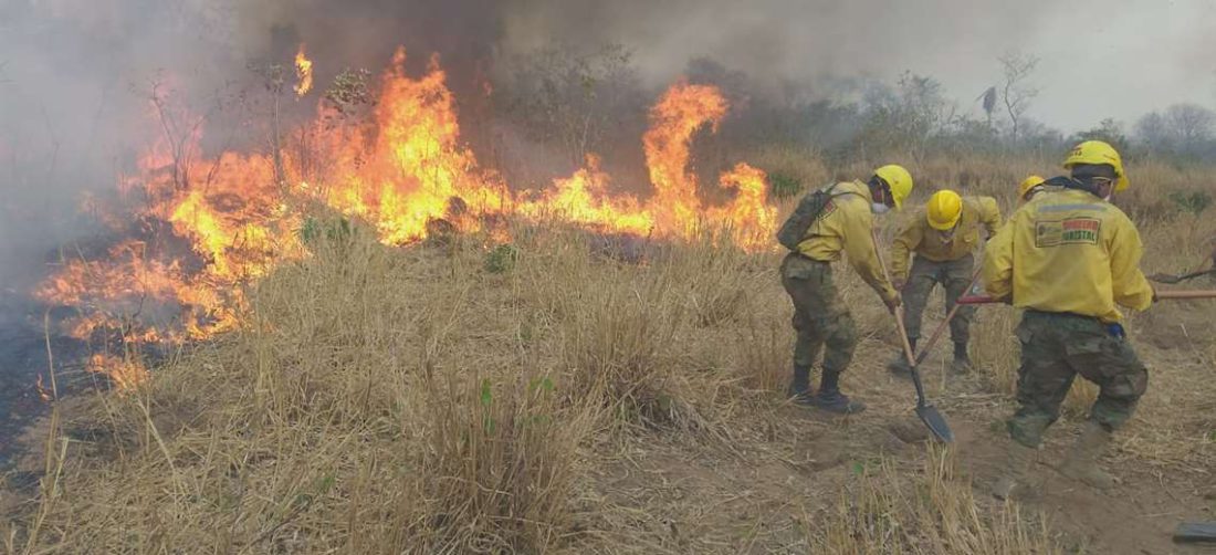 Bomberos tratan de controlar el fuego en Roboré. Foto: ARCHIVO