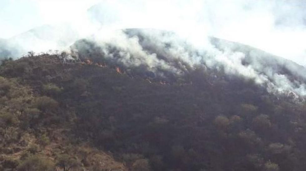 Bomberos reportan incendio  en la zona de Pinos Sud Tarija