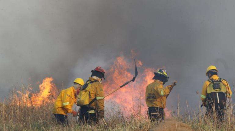 Bomberos combaten las llamas en Roboré. Foto: APG
