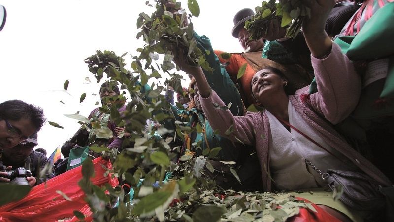 Lluta y Flores ven «importante» que censo pregunte qué coca se consume