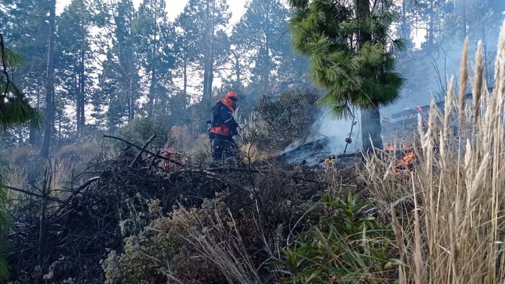 Incendio forestal en Sacaba.