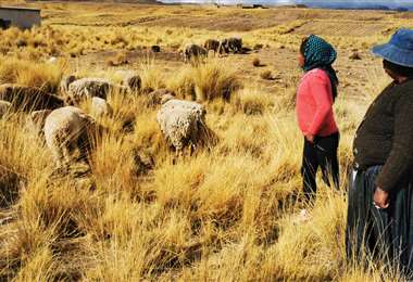 Comunidad de Alto Milluni en El Alto