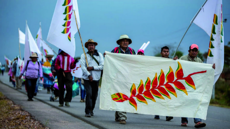 Principales conquistas indígenas, en retroceso por leyes aprobadas desde 2010