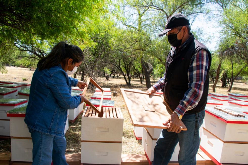 Entregan 800 cajas para duplicar la producción de miel en Tarija 