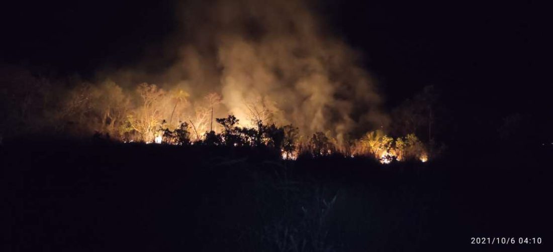 Son 14 los incendios que aún persisten en Santa Cruz.