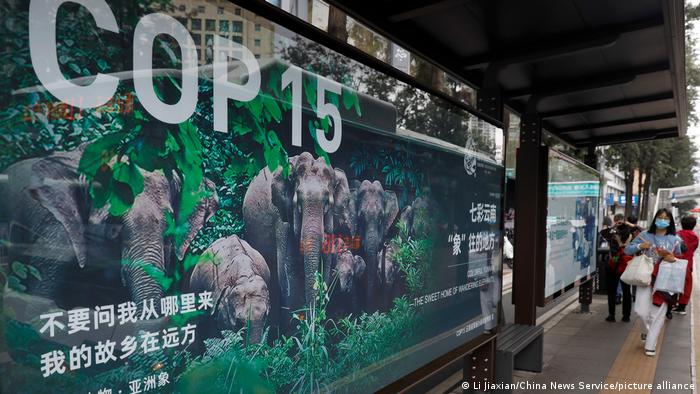 Afiche de la COP15 en Kumming, China.