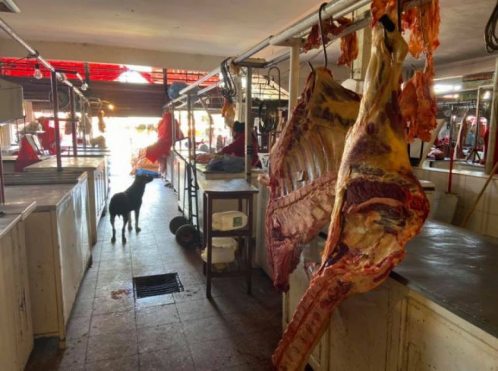 Intendencia comisó 65 kilos de carne descompuesta del mercado Cercat en Tarija 