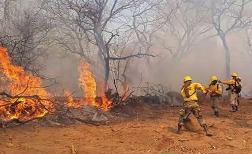 Concepción reporta 3 emergencias por incendio forestal. Foto: ARCHIVO