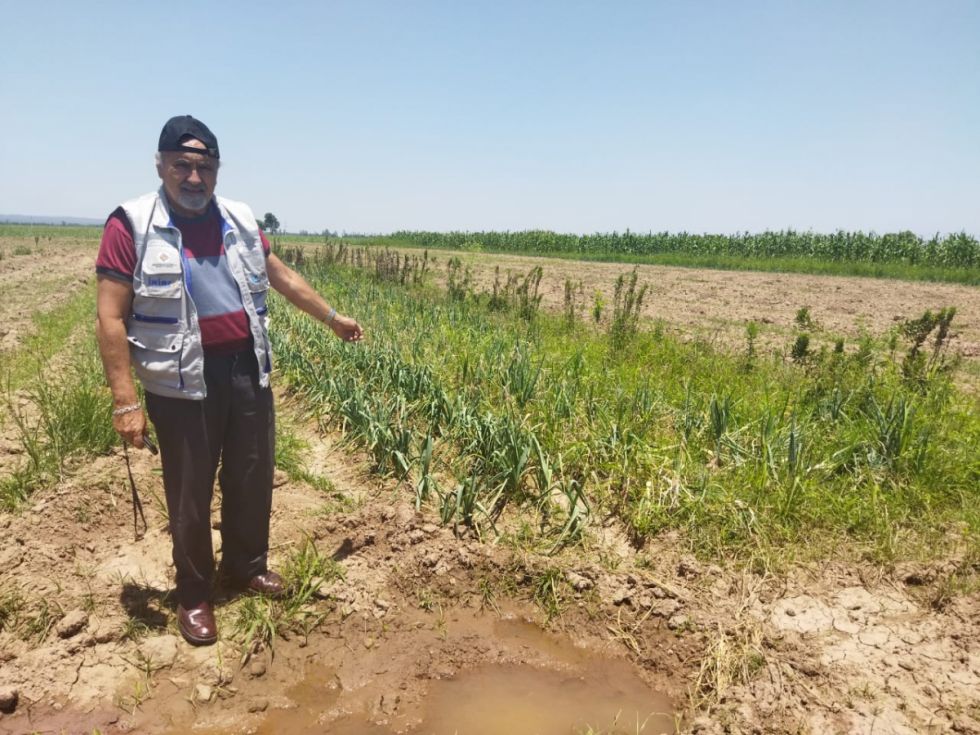 El Iniaf apunta a mejorar los cultivos de caña y cítricos en Bermejo