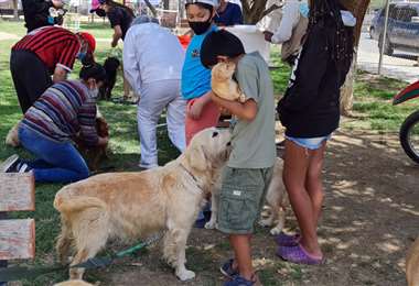 Campaña de vacunación en Cochabamba - Foto: OPS