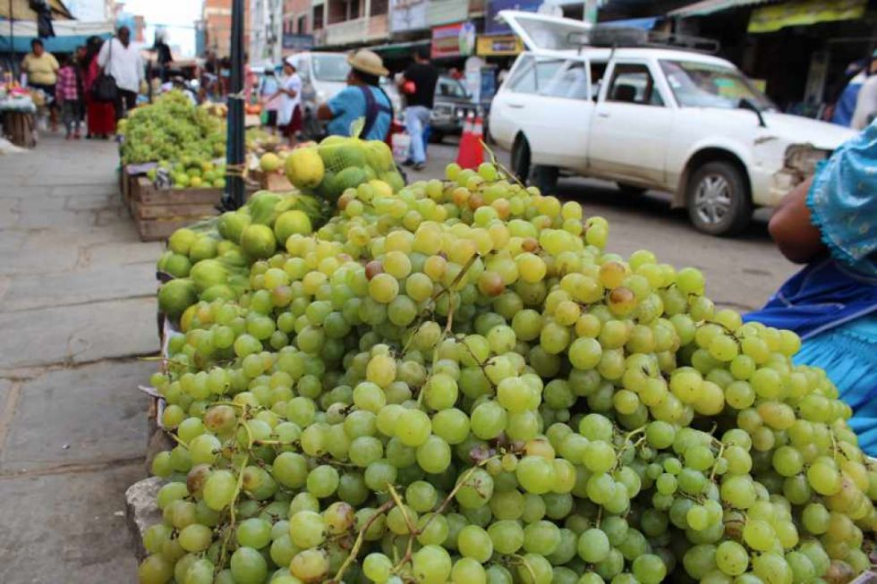 Senasag pide apoyo a viticultores para contrarrestar el contrabando en Tarija