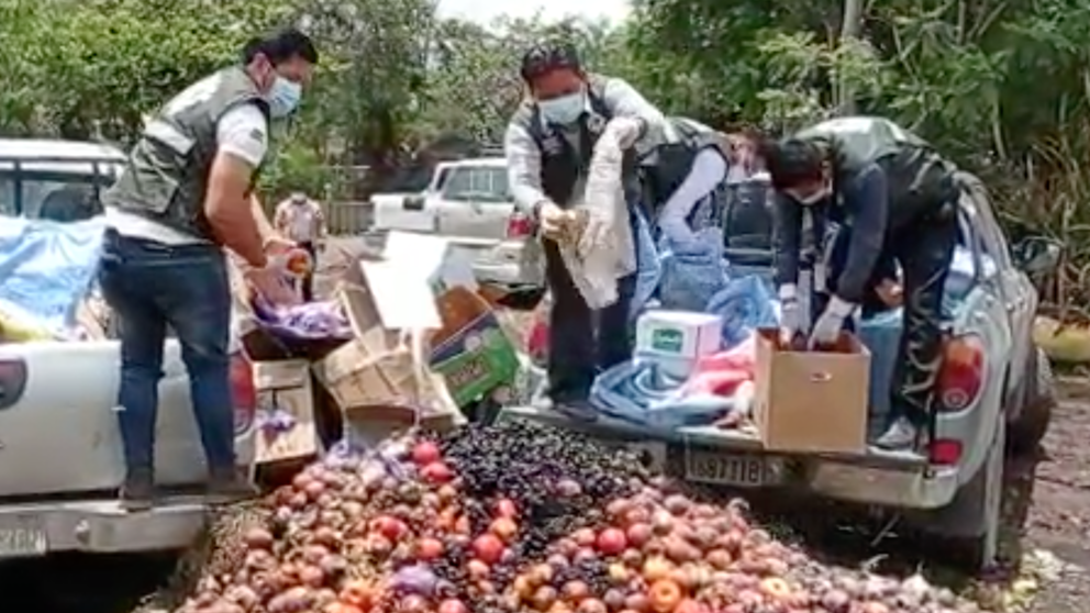Senasag destruye fruta proveniente del Perú sin registro. SENASAG.