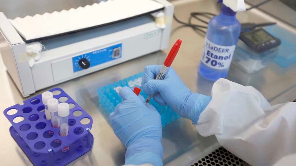 Investigadores de cinco diferentes centros científicos y universitarios del país realizan la secuencia genética de 195 muestras del virus, en Brasil. EFE