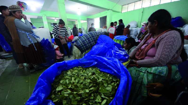 El negocio de la coca se hunde por el contrabando peruano a mitad de precio