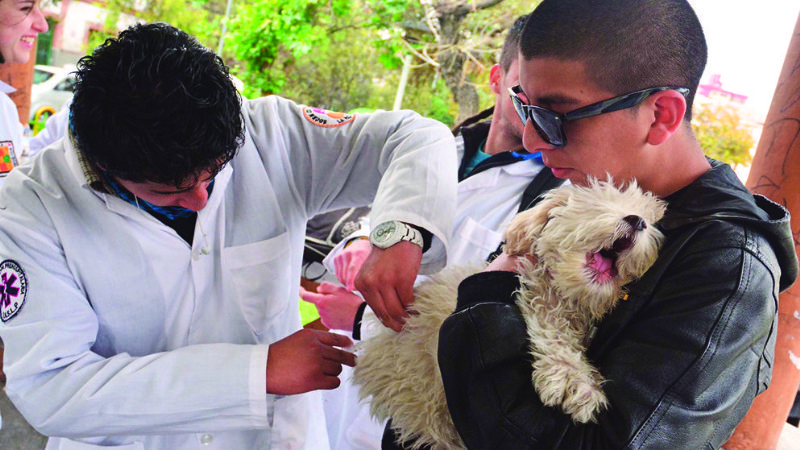 En Potosí, padre de una niña que murió por rabia anuncia querella contra veterinario