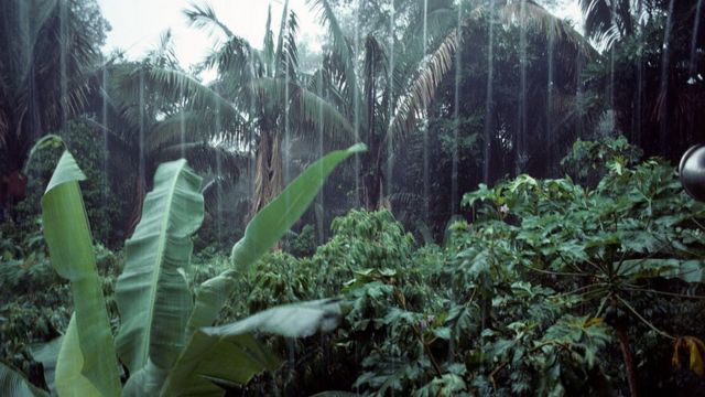 Lluvias torrenciales azotan el Amazonas.