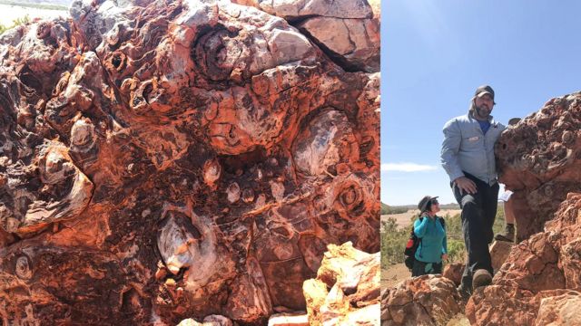 Estromatolitos fósiles de 3.450 millones de años cerca de Marble Bar en Pilbara