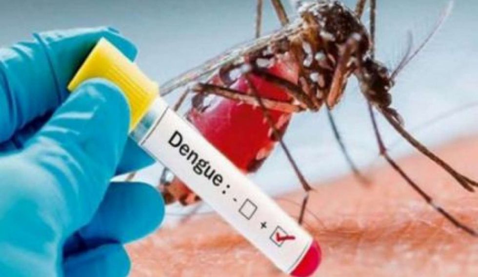 Diez personas diagnosticadas con dengue en Tarija en menos de diez días