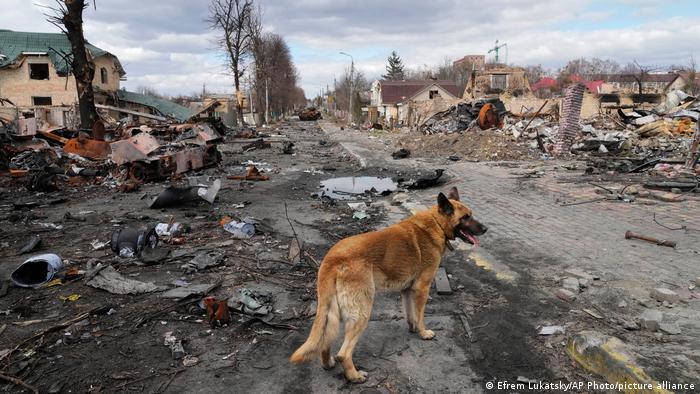 Destrucción por bombardeos rusos en Bucha, Ucrania.