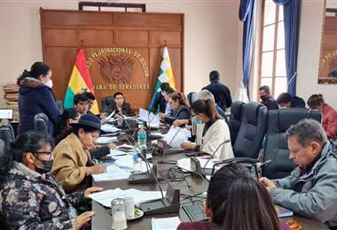 Comisión durante la verificación de documentos. Foto: Senado Bolivia