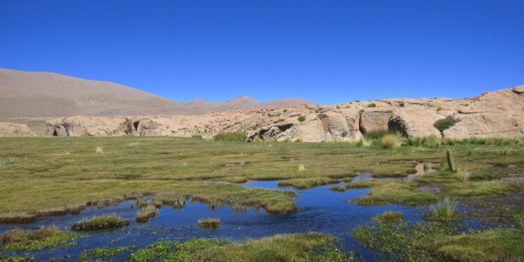 Bolivia justificará contrademanda por aguas de manantiales del Silala