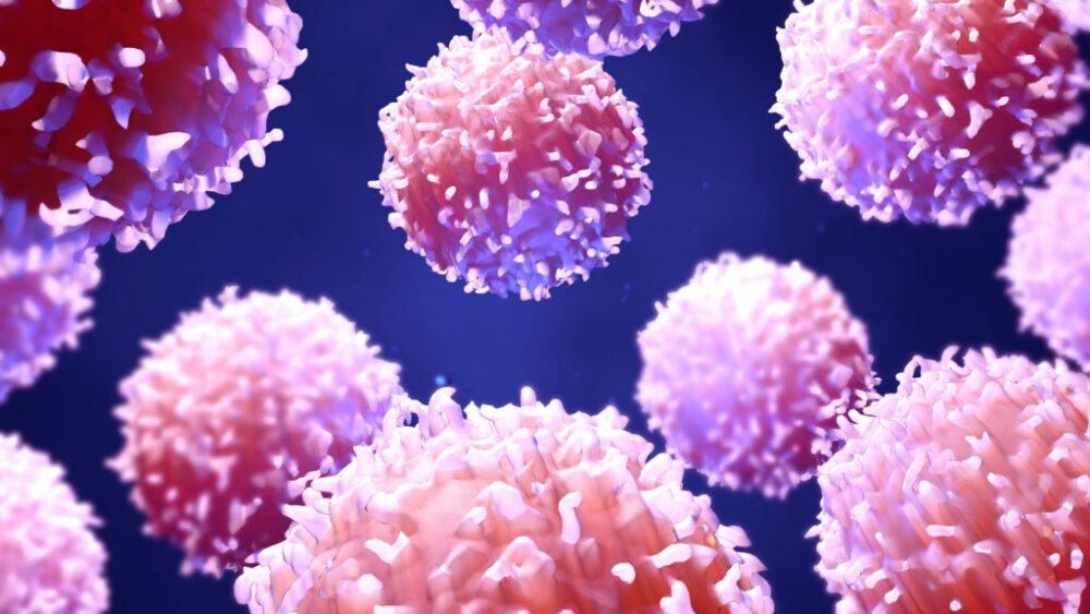 Los linfocitos T: mediadores de la inmunidad celular - MiSistemaInmune