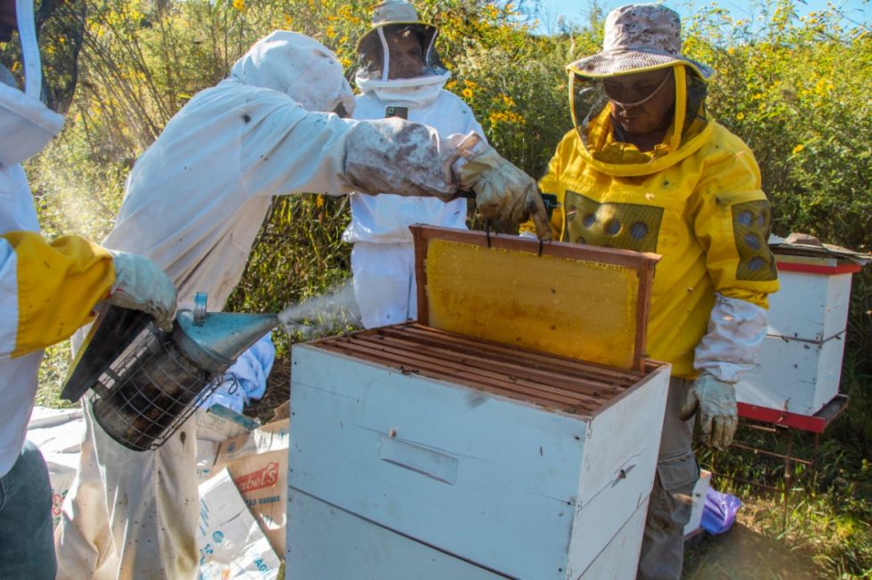 Alcaldía de Tarija da apoyo técnico a más de 100 apicultores